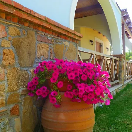 Πανσιόν Trikalioti's Estate Chavari
