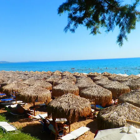 Πανσιόν Trikalioti's Estate