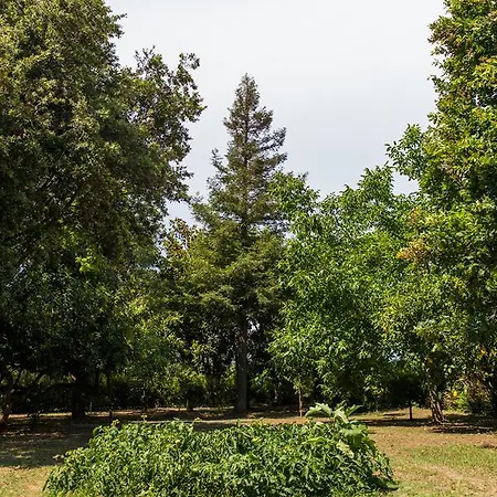 Trikalioti's Estate