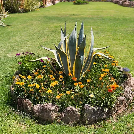 Trikalioti's Estate * Chavari