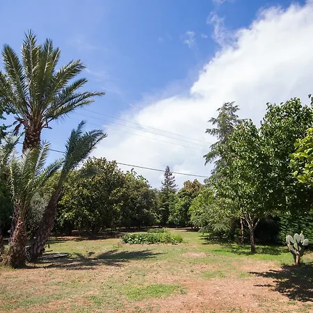 Trikalioti's Estate Chavari