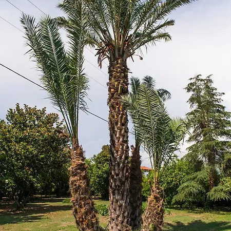 Trikalioti's Estate * Chavari