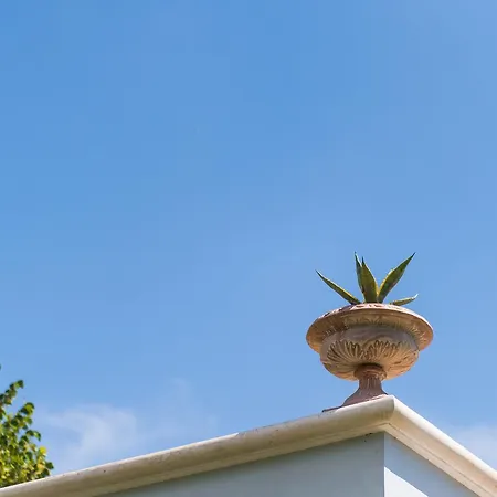 Trikalioti's Estate Πανσιόν *
