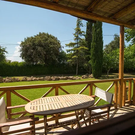 Trikalioti's Estate Affittacamere Chavari